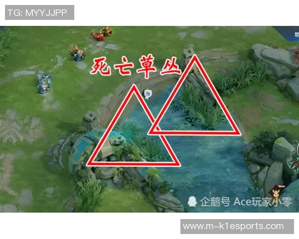 揭秘王者荣耀成功背后的秘密专访吴强分享游戏运营与玩家心理的深度分析